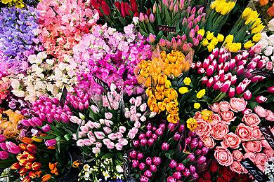 《艾尔登法环》全新配图 神秘地点引人猜想